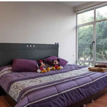Hermoso Departamento Cerca De Todo Apartment Мексико Сити Екстериор снимка