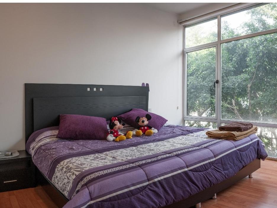 Hermoso Departamento Cerca De Todo Apartment Мексико Сити Екстериор снимка